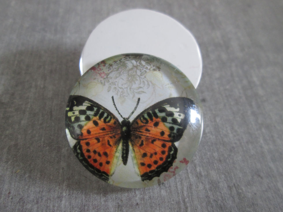Miniatura: 25 mm - cabochon verre rond papillon - 11 modèles