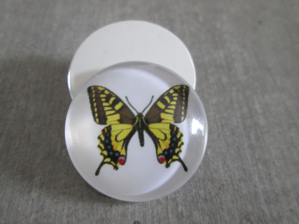 Miniatura: 25 mm - cabochon verre rond papillon - 11 modèles