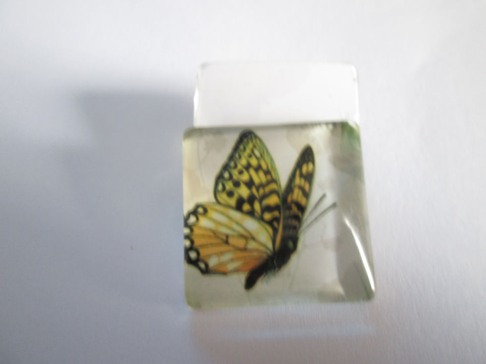 Miniaturbild: 25 mm - cabochon verre carré papillon - 12 modèles