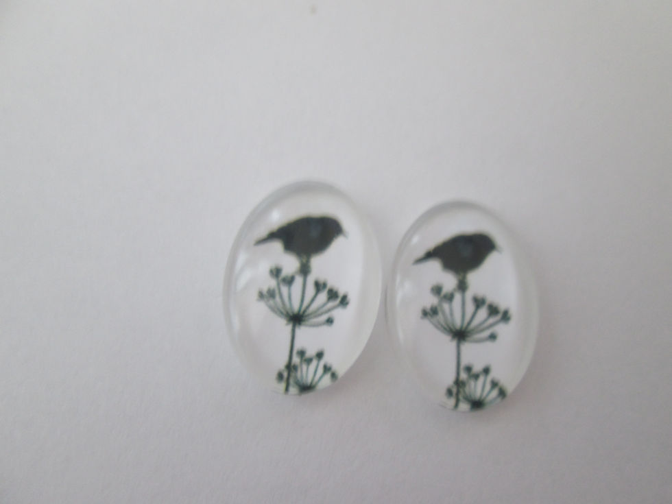 Miniature : 25 x 18  mm - 2 cabochons verre impression oiseaux  - 9 modèles