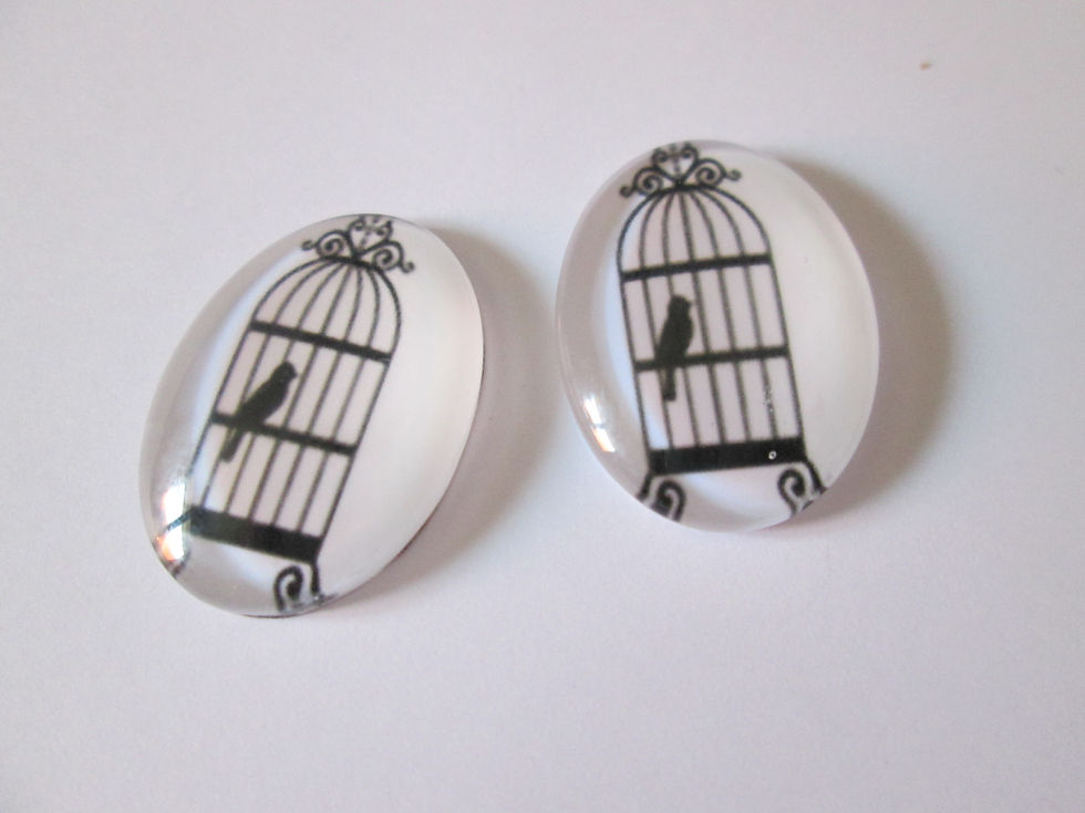 Miniatura: 25 x 18  mm - 2 cabochons verre impression oiseaux  - 12 modèles