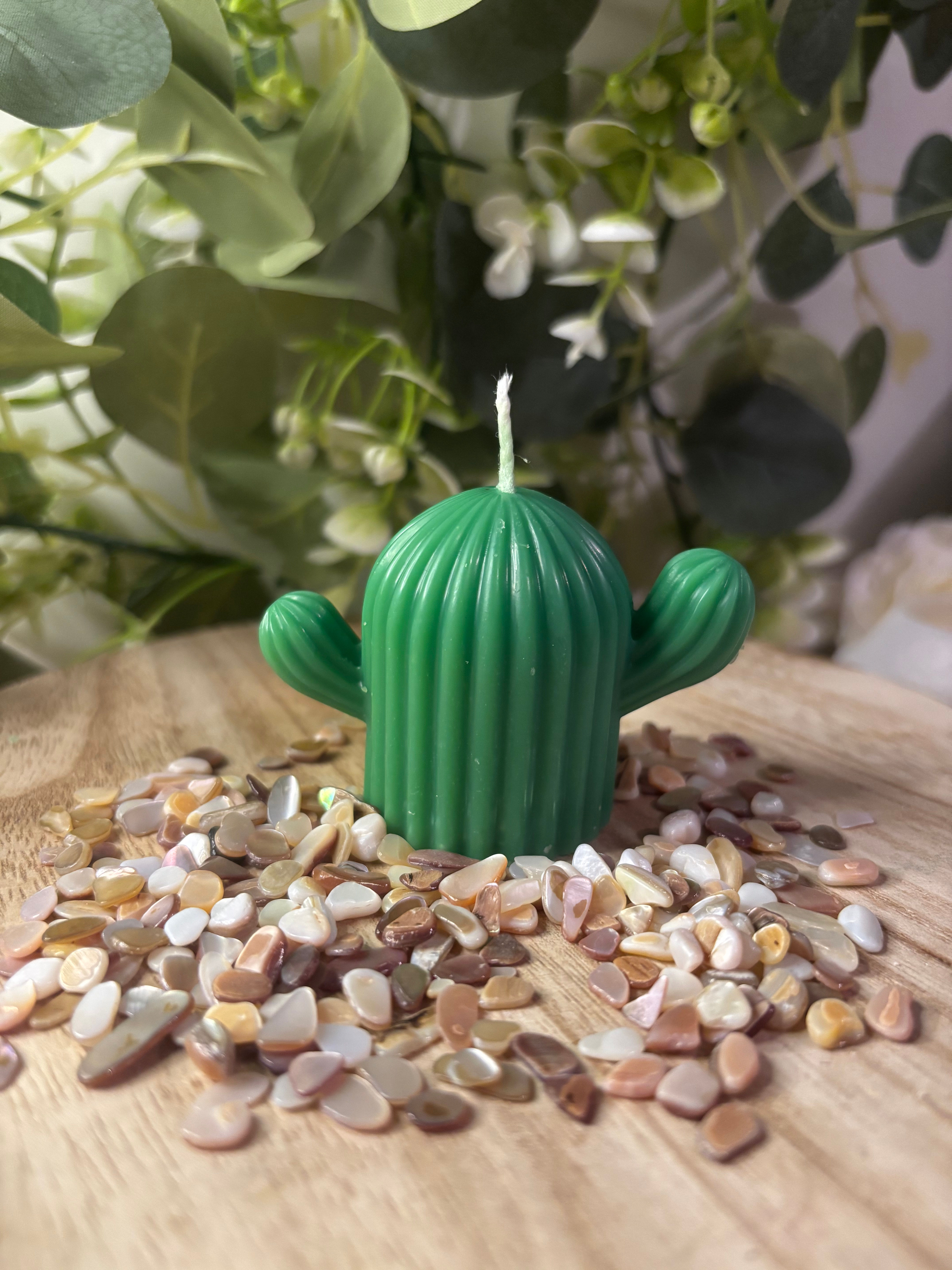 Bougie Cactus - Frangipanier 🌵