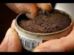 Snuff.jpeg