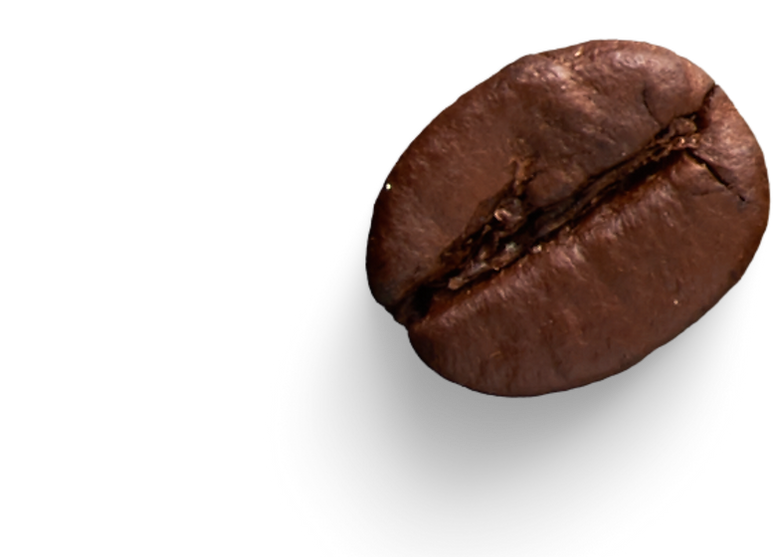coffee bean close up