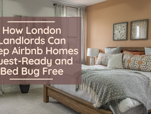 How London Landlords Can Keep Airbnb Homes Guest-Ready and Bed Bug Free