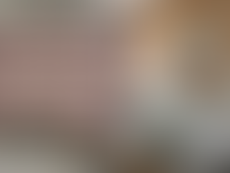 How London Landlords Can Keep Airbnb Homes Guest-Ready and Bed Bug Free