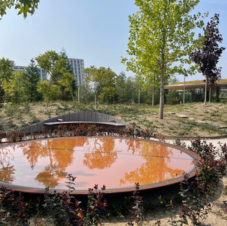 Savremene Danske baste