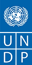 UNDP_logo.svg.png