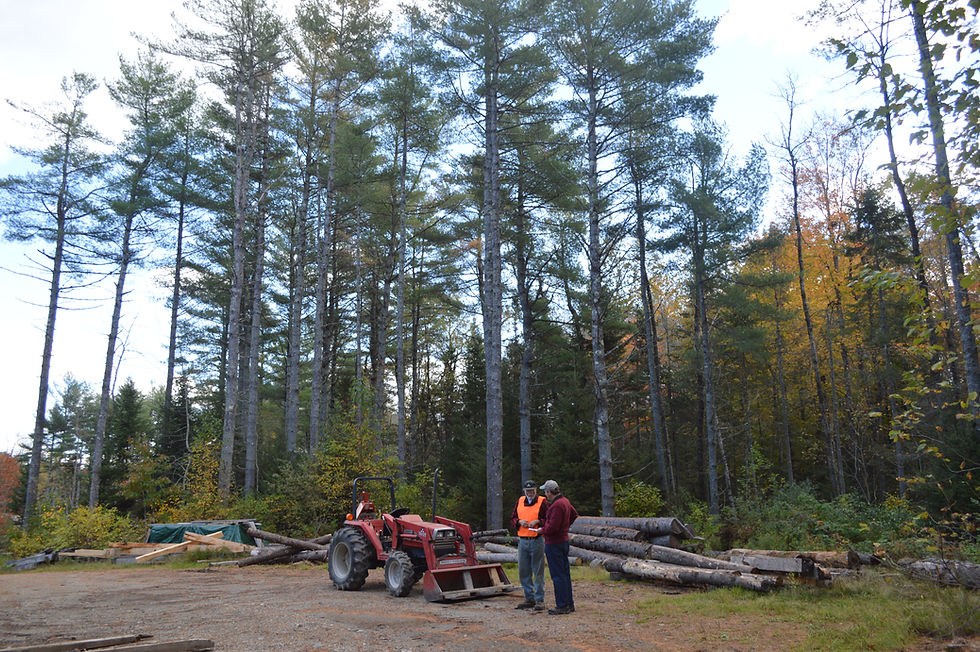 Request for Proposals: Contract for Licensed Foresters to Address Tree Farm Inspection Backlog