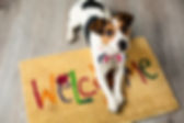 AdobeStock_73116832.jpeg