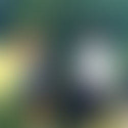 How Fostering Led Melanie to Her Forever Family