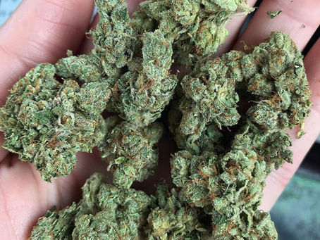 Buy Weed Online Shanvey Order Cannabis Oil In Gulladuff