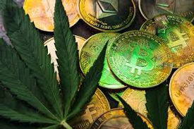 Buy weed online with Bitcoin in Cork Ireland
