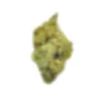 Buy Durban poison Weed Strain for sale