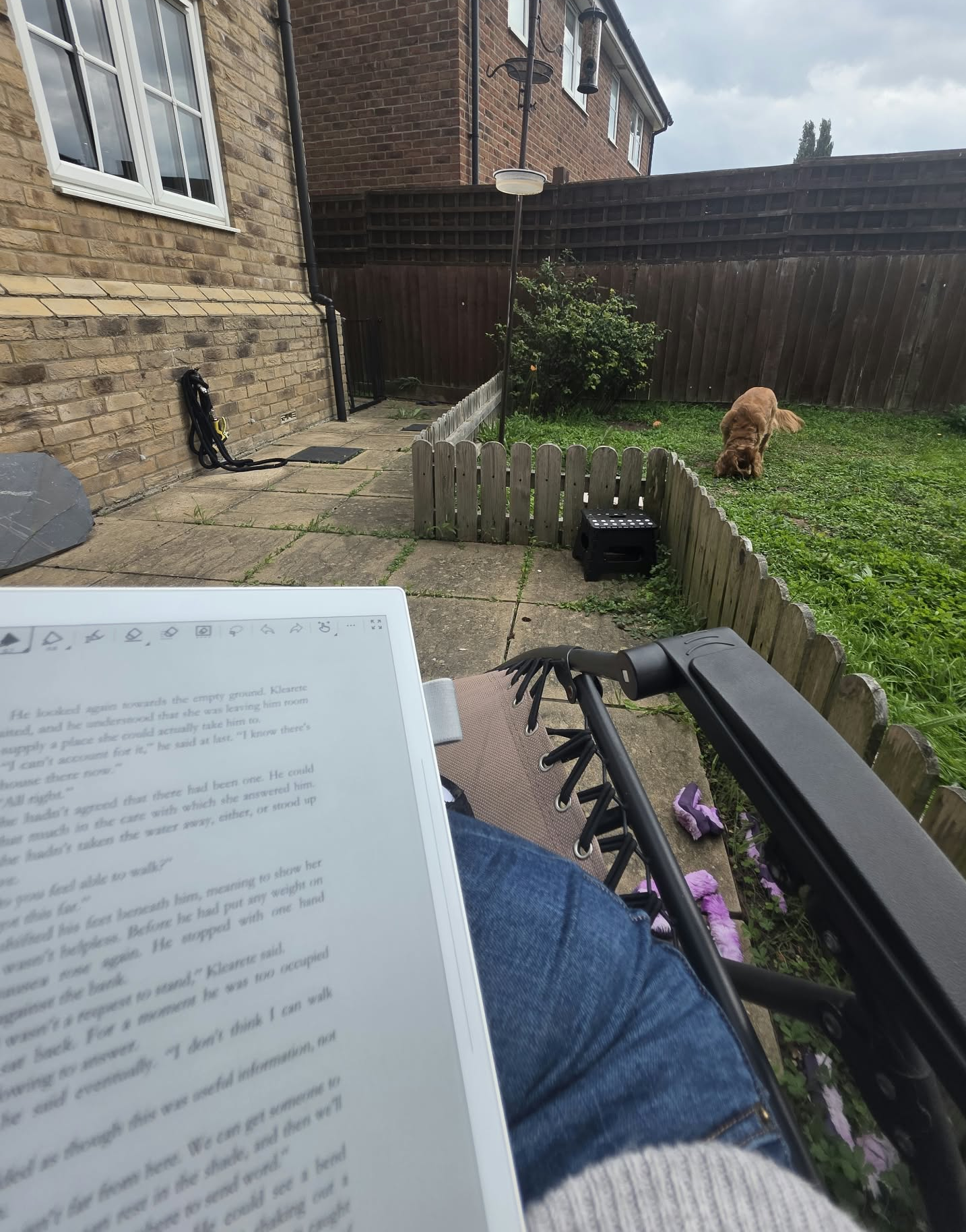 Editing on my e-ink tablet while getting fresh air