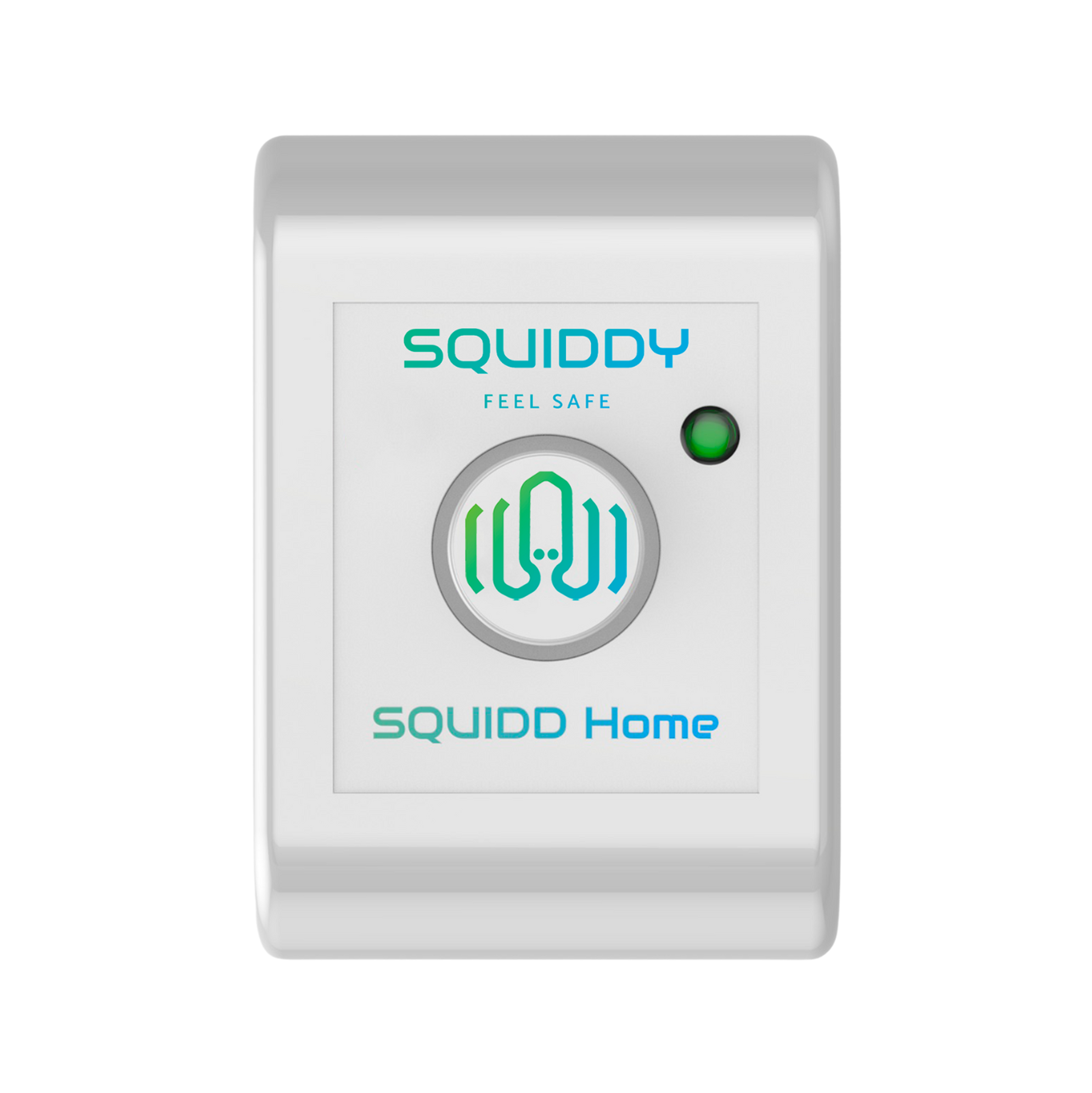 SQUIDD Temp gris 1.png