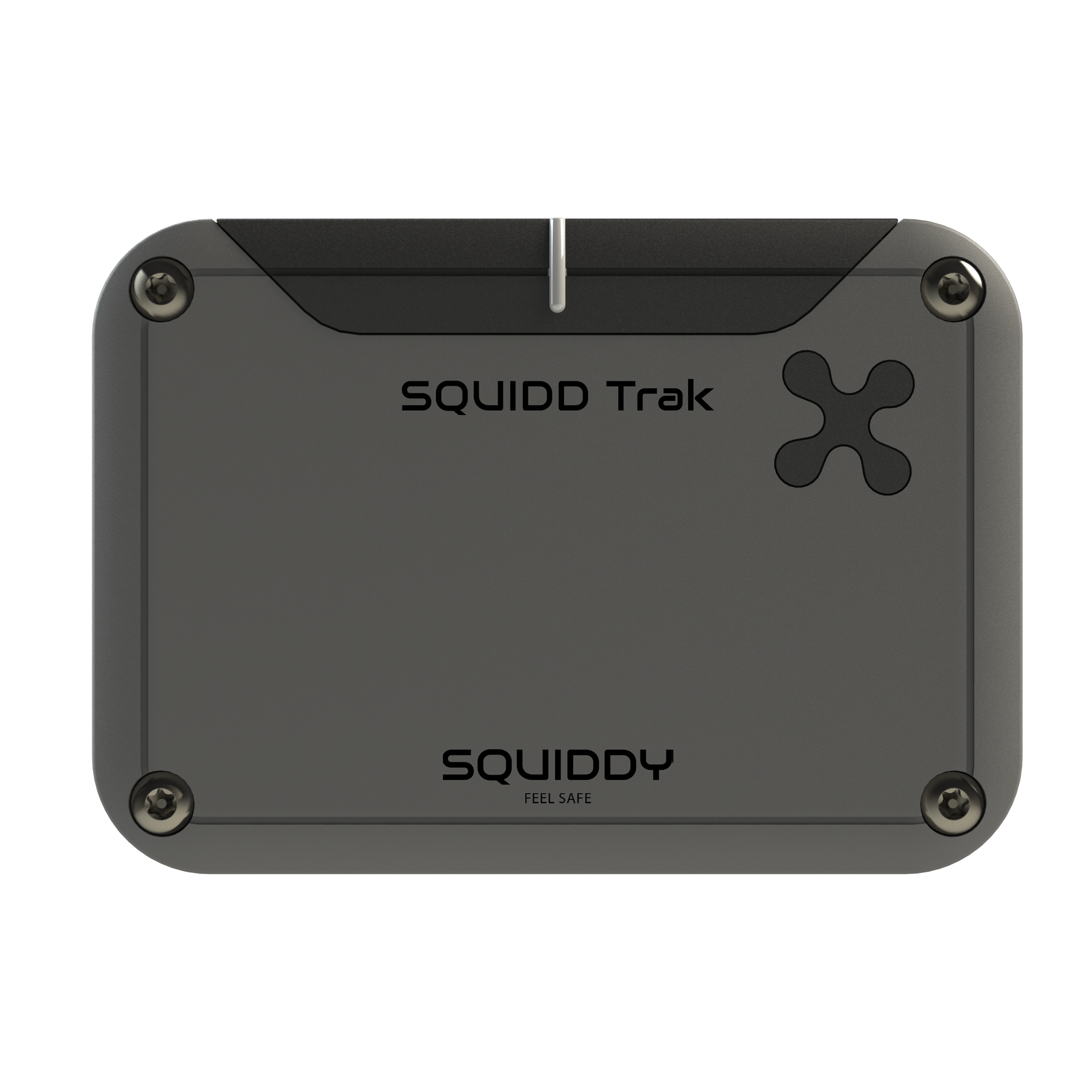 Le détecteur de température SQUIDDY