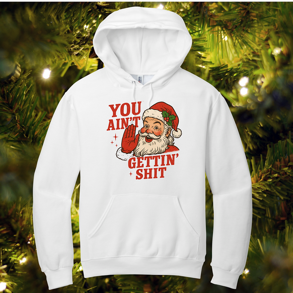 Ain't Gettin Shit Hoodie
