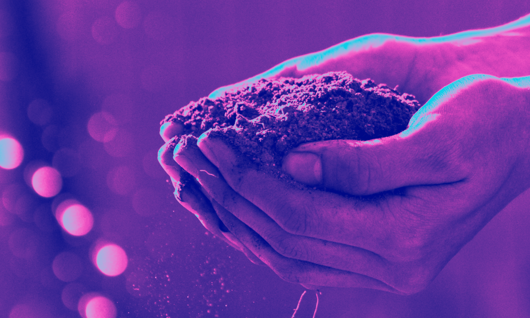 Soil - Special effect.webp
