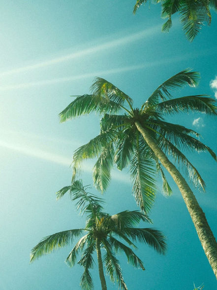 photo sold at 995concept.