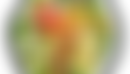 My Go-to "Healthy" Fast Food Orders!