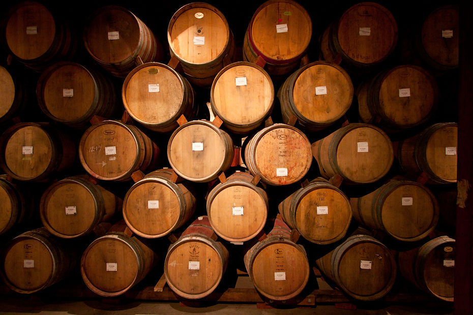 Ikal bodega