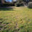 Miniature : REGUSSE - Terrain de 830 m²