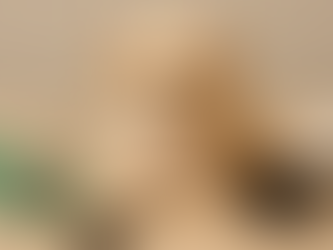 Teacup Maltipoo puppy with grooming tools on a wooden table