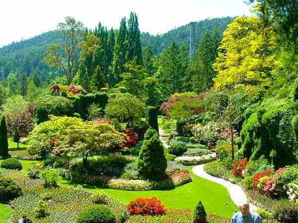A alma é um jardim