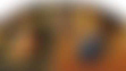Haverá alguém que não vos conceda a primazia?