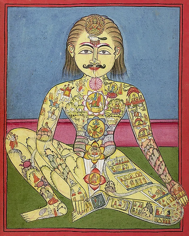 Nadi illustrazione.png