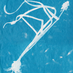 Cyanotype