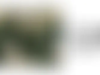 The Importance of Online Mock Interviews in Your Job Search