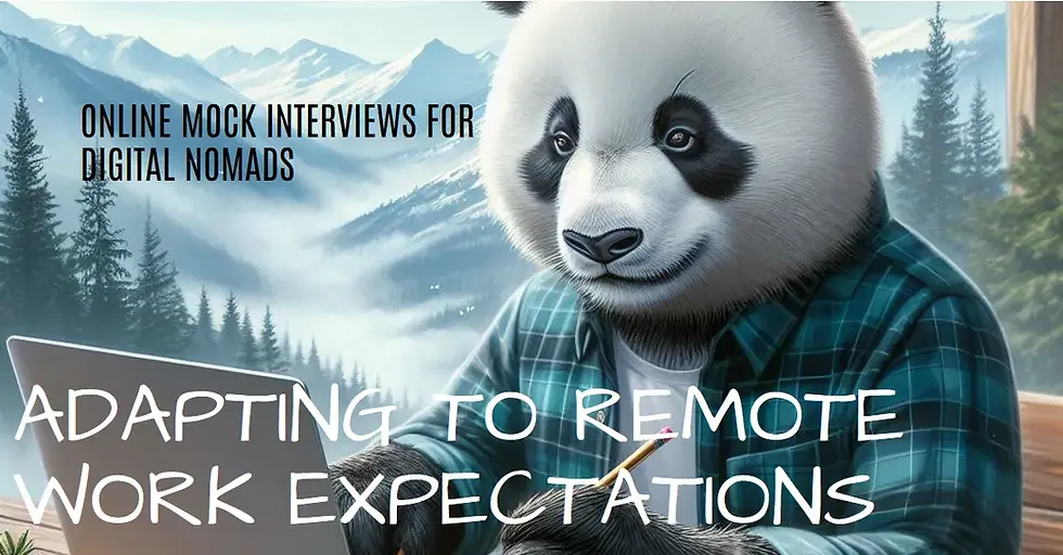 Online mock interview