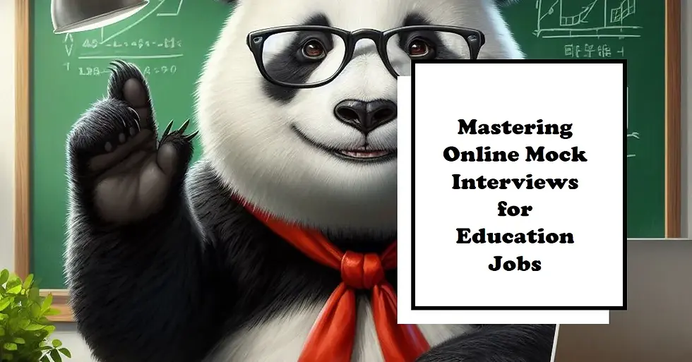 online mock interview