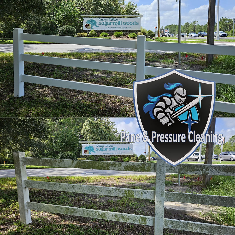 Vinyl fence cleaning service removing dirt, algae, and mildew buildup