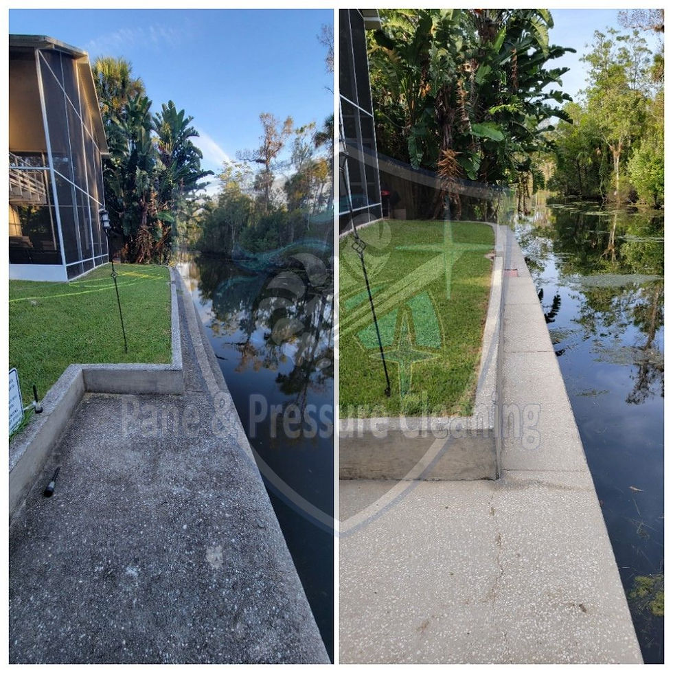 Experienced team providing driveway cleaning and power washing services