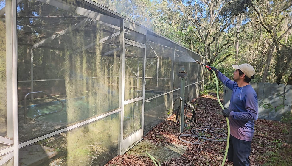 Professional pool cage cleaning service removing algae and mold buildup