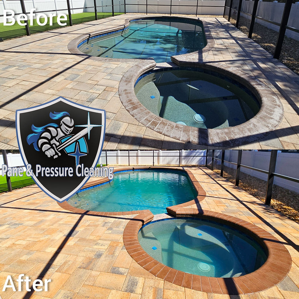another Soft wash and pressure washing before paver sealing to remove dirt and weeds