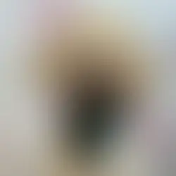 How Often Should My Dog Be Groomed?