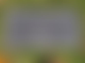 Charles Bukowski and the Meaning of ‘Don’t Try’: Lessons on Authenticity, Purpose, and Living Intensely