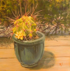 A spiny cactus in a pot on a deck