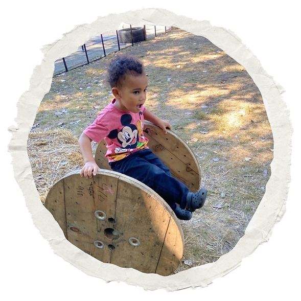Preschoolers engaging in Reggio Emilia inspired outdoor learning activities