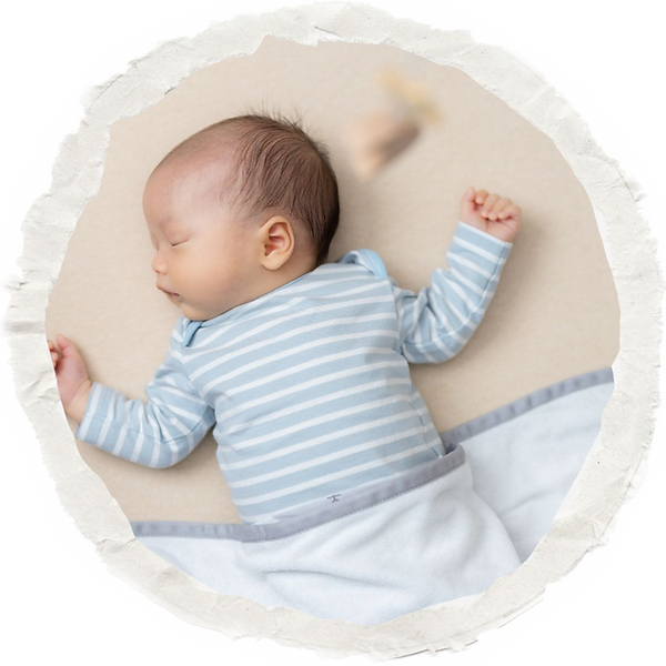 6 weeks to 15 months early childhood education