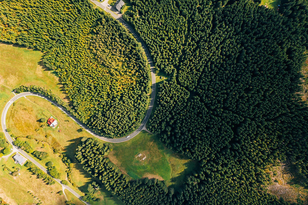 Sustainability in Travel