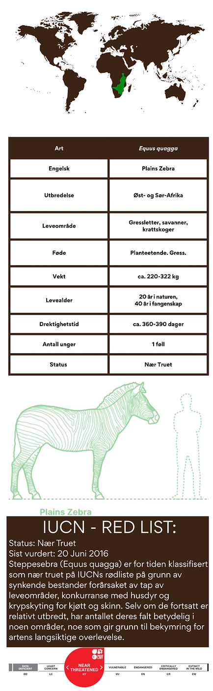 Website Animals (13)_edited.jpg