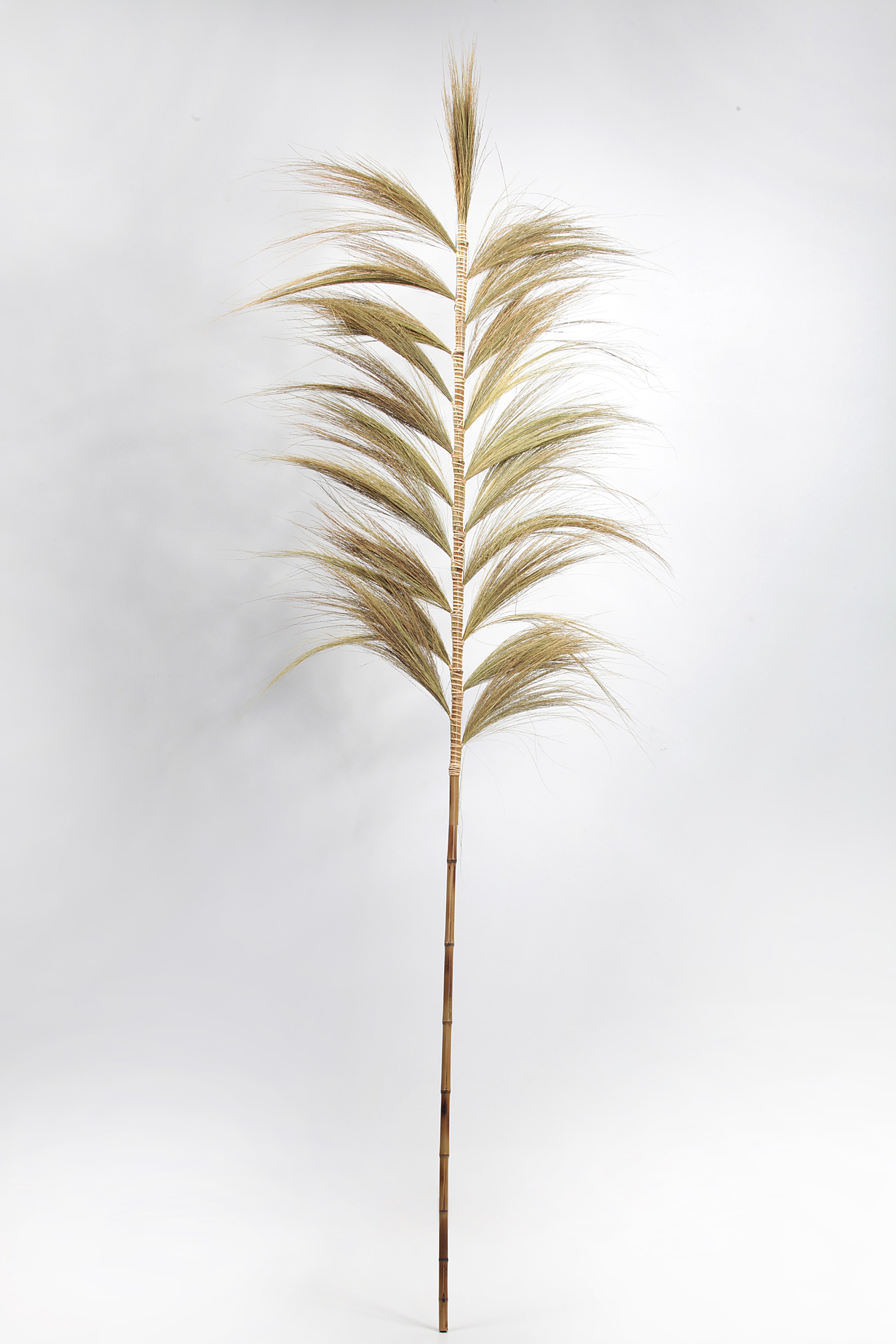 GILI branche en rayung