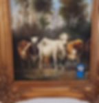 cows