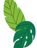 leaff gif.webp