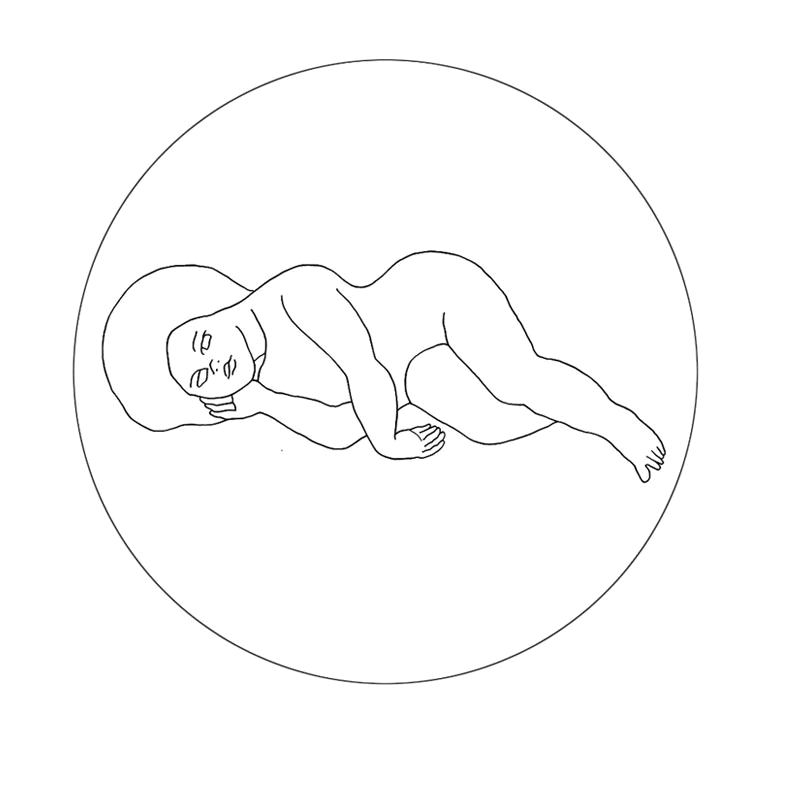 Anim-legumes-cercle2.gif